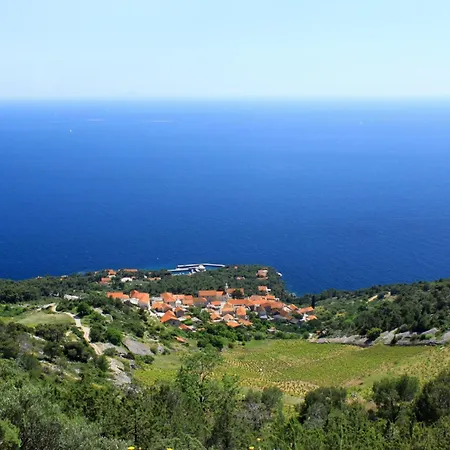 House With A Swimming Pool Sveta Nedilja, Hvar - 22136 *